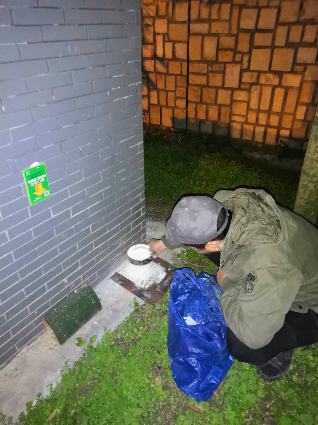 简阳社区白蚁防治服务全指南 守护家园，从专业防治开始