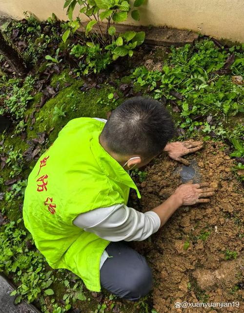 提醒!建德市白蚁防治所(站)官方电话及服务地址 白蚁防治服务
