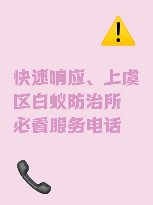 上虞区白蚁防治服务指南:本区提供从日常预防到紧急处置的一站式